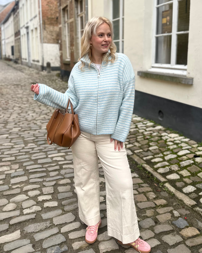 Julia Zip Cardigan Blue Cream