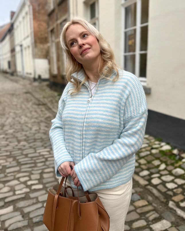 Julia Zip Cardigan Blue Cream