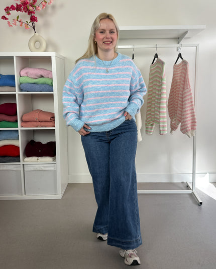 Trui Pink Blue Striped