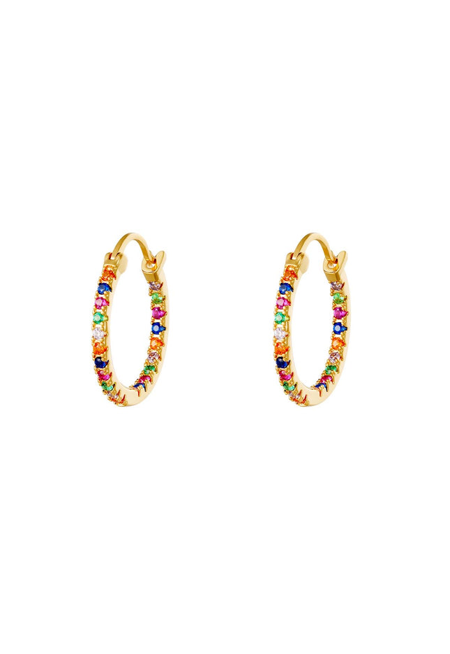 Oorbellen Colorful Hoops Big