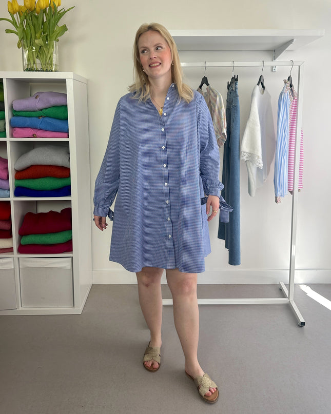 Blue Spring Dress Bows