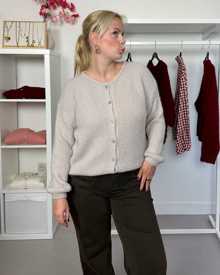 Round Neck Cardigan Light Grey