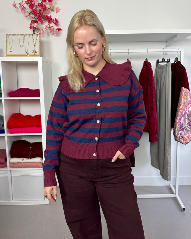 Burgundy Navy Collar Cardigan