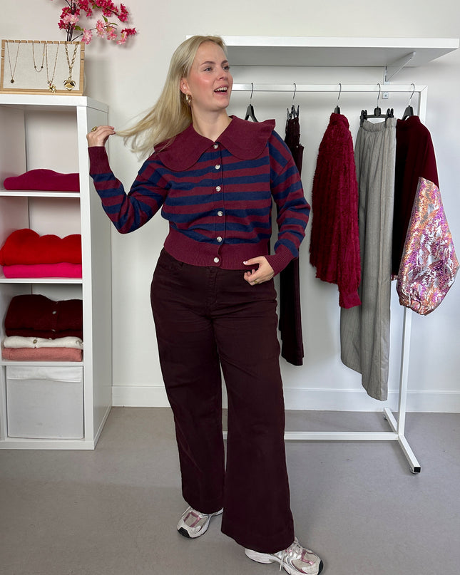 Burgundy Navy Collar Cardigan
