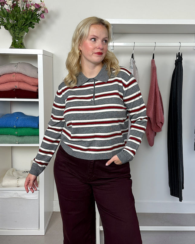 Polo Truitje Striped Grey Bordeaux