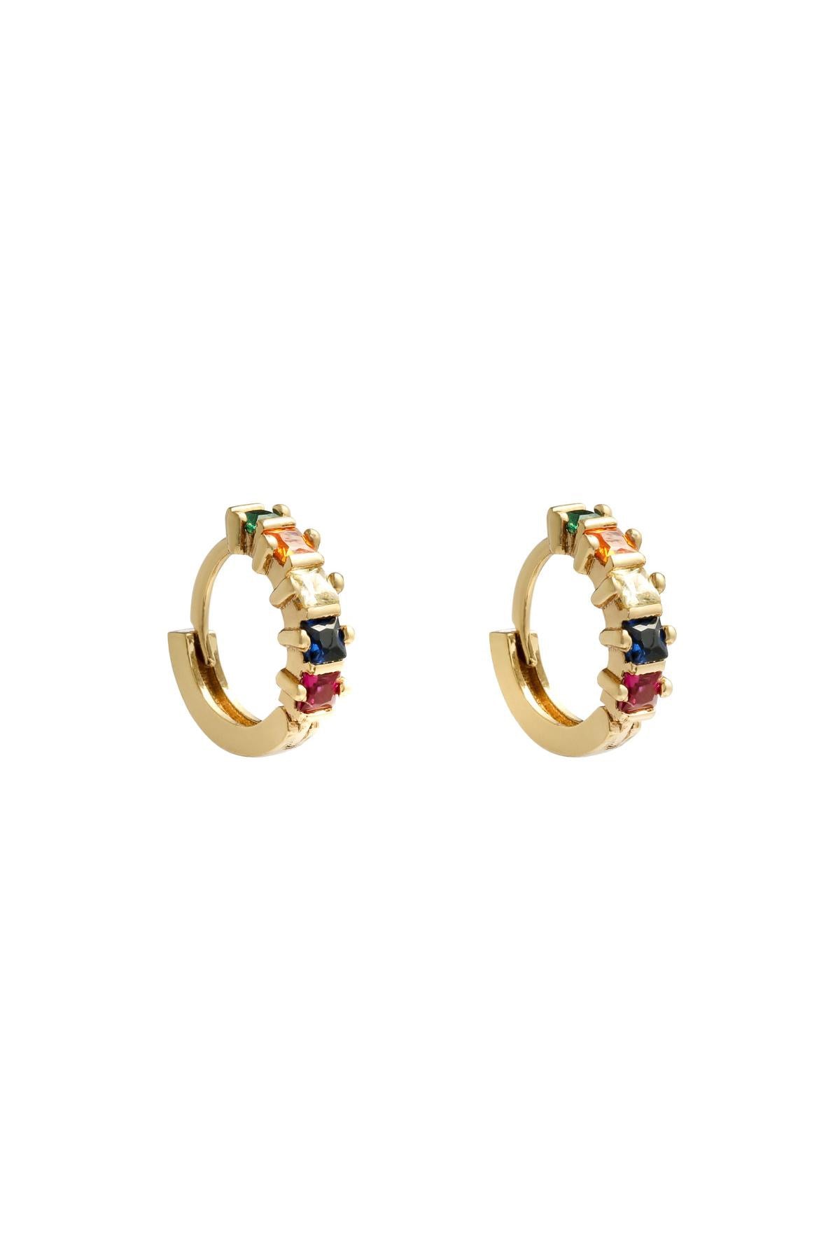 Oorbellen Colorful hoops