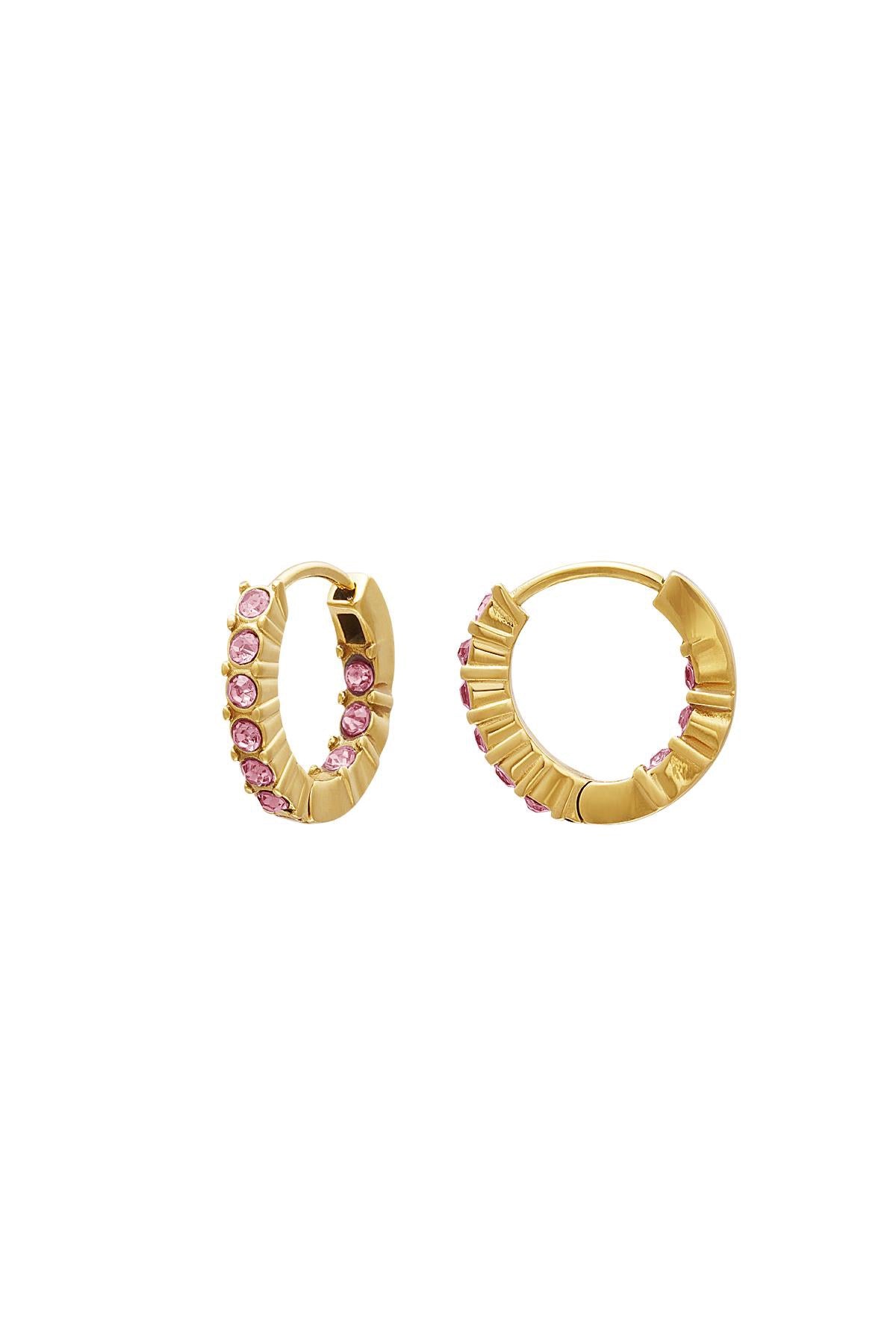 Oorbellen Hoops Pink