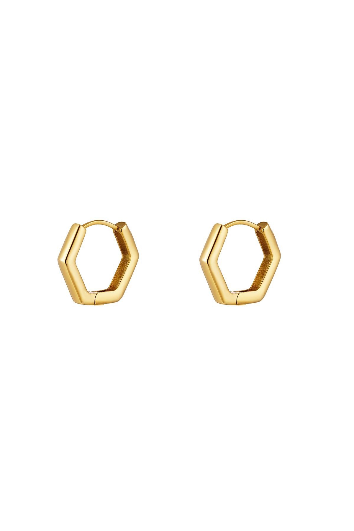 Oorbellen Hoops
